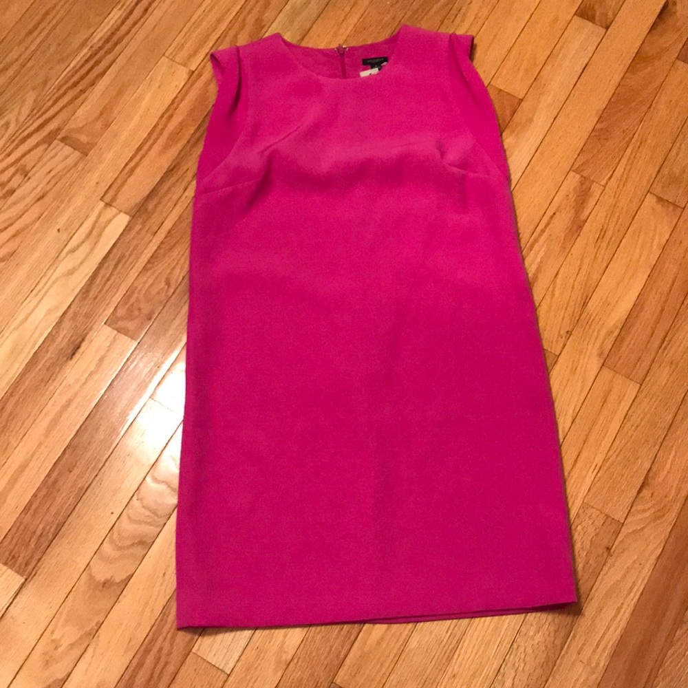 NWT Ann Taylor Hot Pink Shift Dress